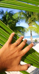 Impact Studios Search Engine Optimization